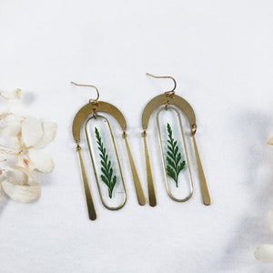 Brass Dangle Earrings with Preserved Ferns