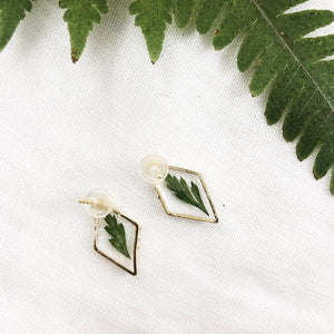 Imogen - Dainty Gold Stud Earrings with Preserved Ferns