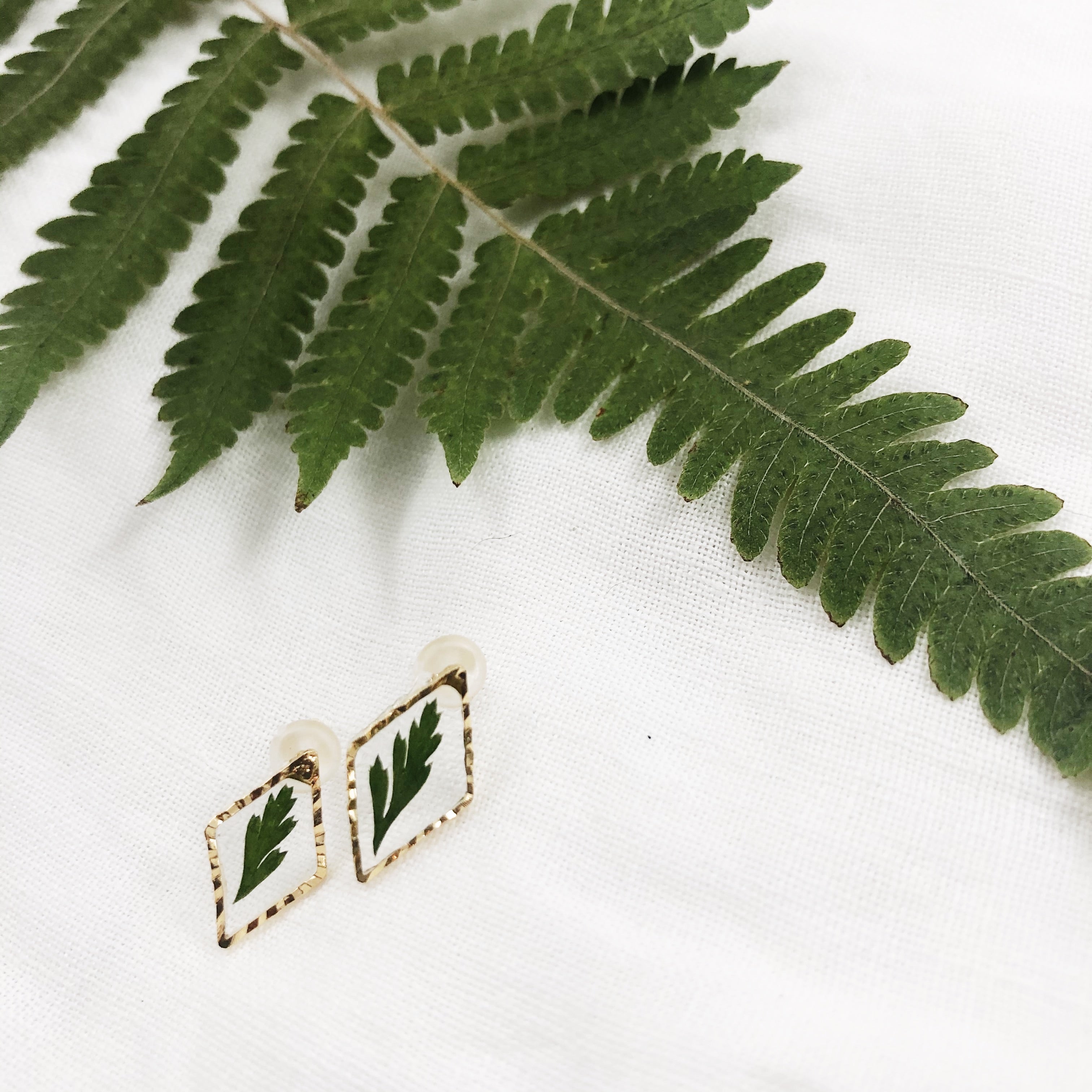 Imogen - Dainty Gold Stud Earrings with Preserved Ferns
